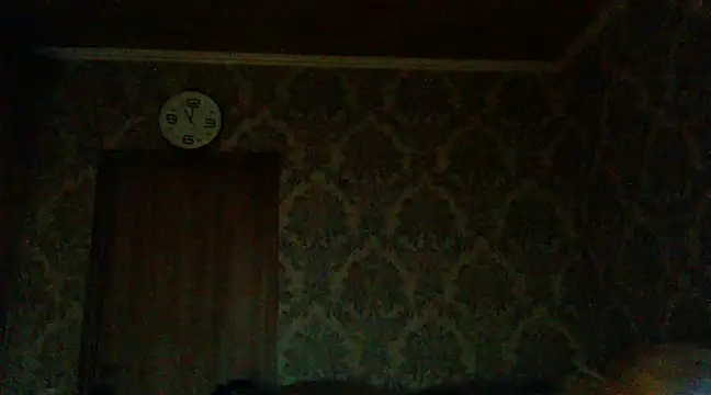 WildMissNiks online show from December 2024 09:02:02 AM