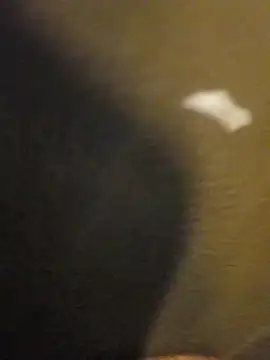 Snapshot of Sripandara1 chatting on March 2025 12:04:02 PM Sripandara1 online show from March 2025 12:04:02 PM