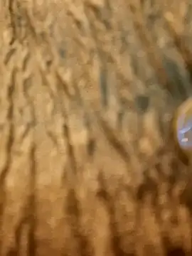 Snapshot of Dirtyfeelin chatting on February 2025 11:28:02 AM Dirtyfeelin online show from February 2025 11:28:02 AM