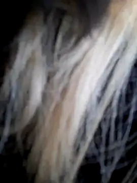 Snapshot of Dirtyfeelin chatting on December 2025 11:59:01 AM Dirtyfeelin online show from December 2025 11:59:01 AM