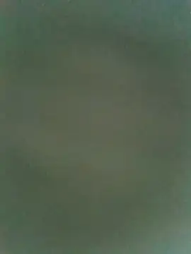 dreamtoungelick69 online show from July 2026 03:04:01 AM