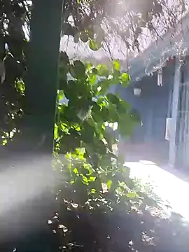 sofy alone online show from January 2025 05:39:02 PM