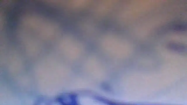 AnnyPat online show from November 2025 12:55:01 PM