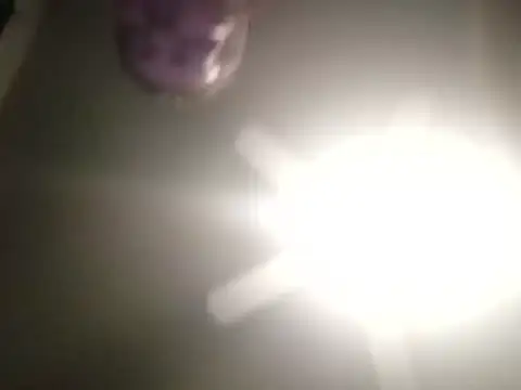 thefire420 online show from December 2024 02:38:01 PM