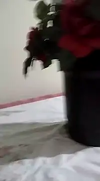 Snapshot of catdool chatting on January 2025 03:26:02 AM catdool online show from January 2025 03:26:02 AM