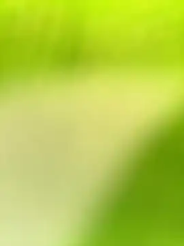 Dhiyapink online show from December 2024 03:58:01 AM