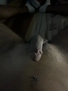 mamoubz online show from November 2025 11:04:02 PM