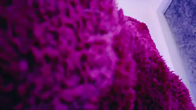 FemDom RubyKnightXXO online show from March 2025 08:37:01 PM