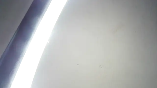 Snapshot of RinsingWood84 chatting on March 2026 09:21:02 PM RinsingWood84 online show from March 2026 09:21:02 PM