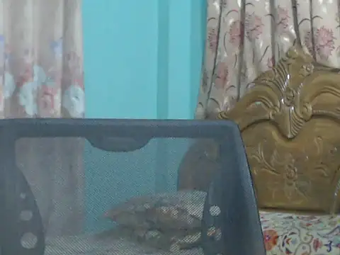 Snapshot of NancyRuvi chatting on September 2025 03:22:02 PM NancyRuvi online show from September 2025 03:22:02 PM