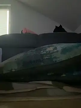 Snapshot of Vlad200472 chatting on January 2025 07:49:01 AM Vlad200472 online show from January 2025 07:49:01 AM