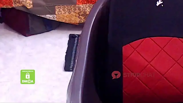 Novapol online show from February 2025 10:31:02 AM