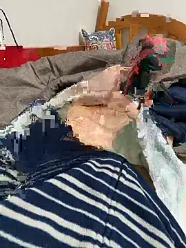 Snapshot of taro-321 chatting on December 2024 10:01:02 PM taro-321 online show from December 2024 10:01:02 PM