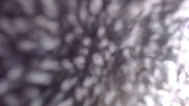 Snapshot of ADRIANNA_FOX chatting on February 2025 01:00:02 PM ADRIANNA FOX online show from February 2025 01:00:02 PM