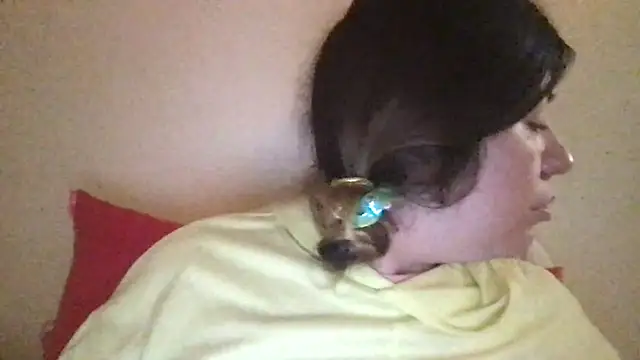 HYPHYtype online show from March 2025 04:07:02 AM