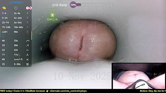 controlmytoys online show from November 2025 10:20:02 PM