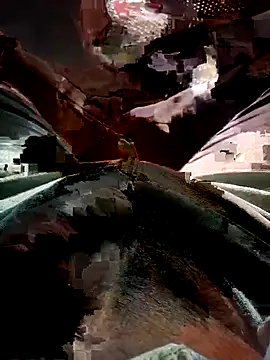 FinableKnee online show from November 2025 03:56:02 AM