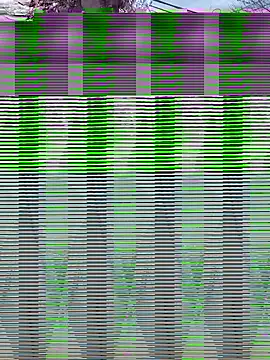 Snapshot of Alicbranca chatting on September 2025 04:41:02 PM Alicbranca online show from September 2025 04:41:02 PM