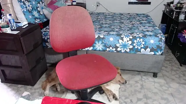 Snapshot of Barbiegomez chatting on November 2025 09:27:01 PM Barbiegomez online show from November 2025 09:27:01 PM