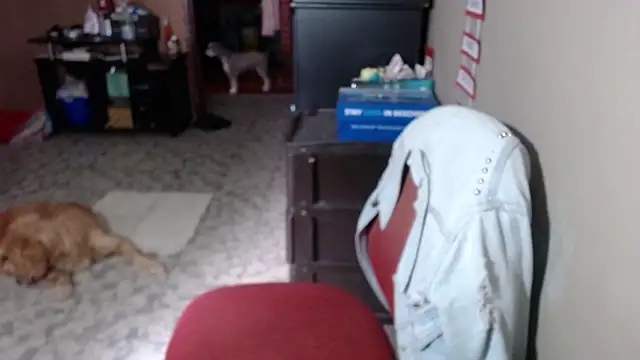 Snapshot of Barbiegomez chatting on March 2026 06:11:01 PM Barbiegomez online show from March 2026 06:11:01 PM