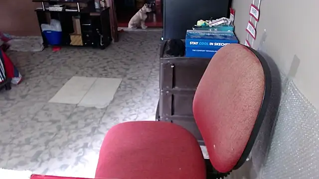 Snapshot of Barbiegomez chatting on March 2026 04:11:01 PM Barbiegomez online show from March 2026 04:11:01 PM