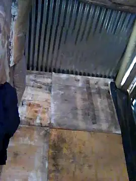 Johnny emboh online show from October 2025 10:14:01 AM