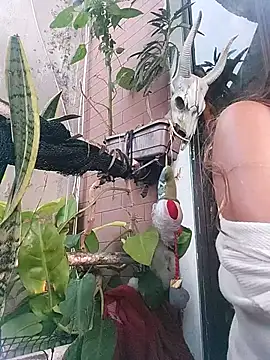 k lebannon online show from February 2025 08:36:01 PM