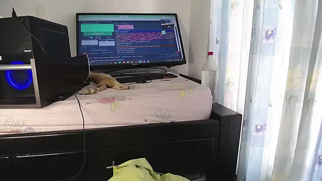 eolicasex online show from January 2025 04:25:02 PM