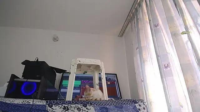 eolicasex online show from February 2025 07:44:02 PM