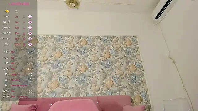 illegal lorry online show from October 2025 04:59:02 AM