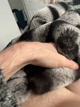 Furdale online show from December 2024 12:40:02 PM