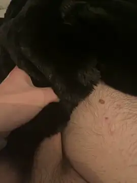 Furdale online show from December 2024 05:44:01 PM