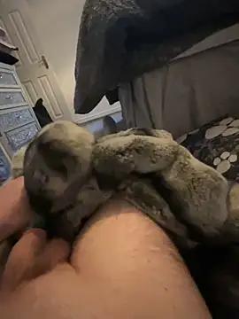 Furdale online show from January 2025 03:46:02 PM