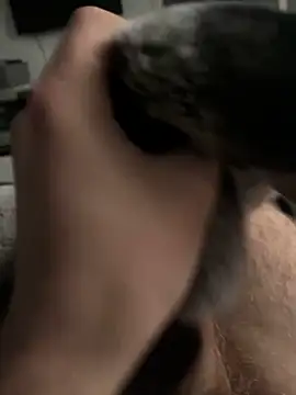 Furdale online show from January 2025 02:33:02 PM