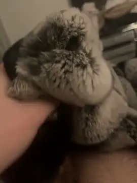 Furdale online show from January 2025 06:04:01 PM