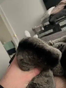 Furdale online show from February 2025 01:55:01 PM