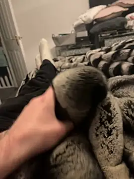 Furdale online show from February 2025 06:11:02 PM