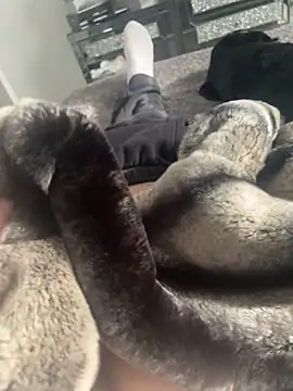 Furdale online show from February 2025 01:24:01 PM