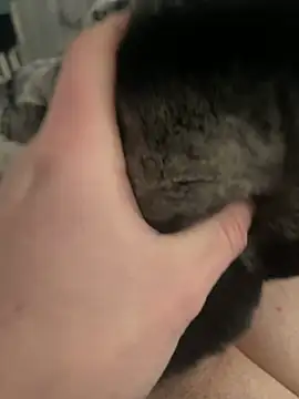 Furdale online show from February 2025 01:21:01 PM