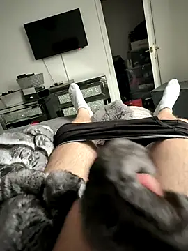 Furdale online show from October 2025 01:55:02 PM