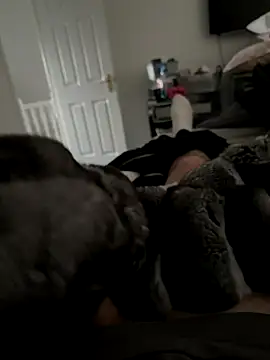 Furdale online show from November 2025 02:28:01 PM