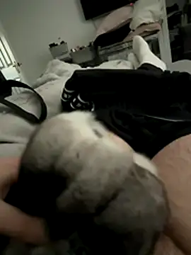 Furdale online show from December 2025 03:06:01 PM