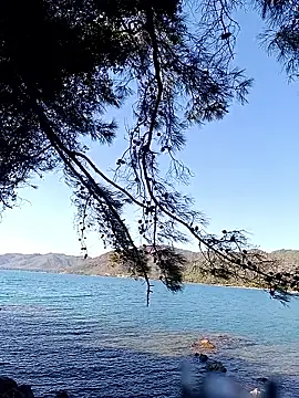 Snapshot of Poyraz6996 chatting on October 2025 11:46:02 AM Poyraz6996 online show from October 2025 11:46:02 AM