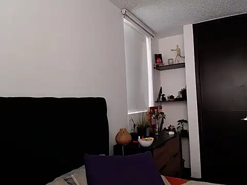 Snapshot of Santiago_kiler chatting on January 2025 02:25:01 PM Santiago kiler online show from January 2025 02:25:01 PM