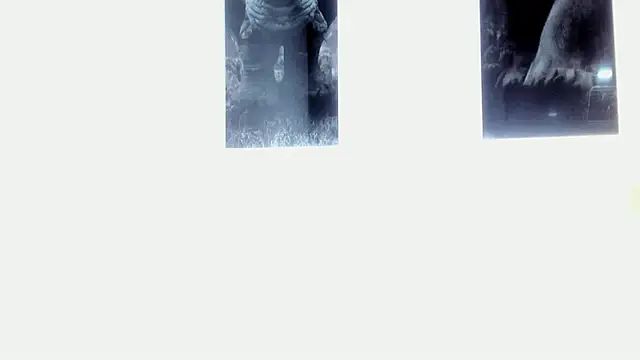 AlexRivera6 online show from March 2025 11:43:02 PM