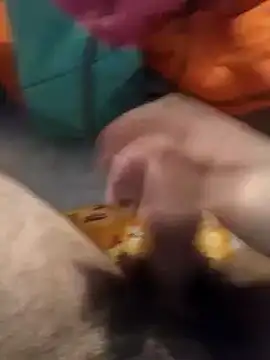 Snapshot of jon763 chatting on January 2025 02:45:01 PM jon763 online show from January 2025 02:45:01 PM