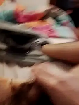 jon763 online show from February 2026 09:16:01 AM