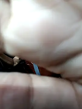 nam tootsis online show from November 2025 02:23:02 AM