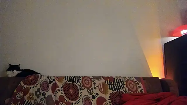 Snapshot of ClancyMorissey chatting on January 2025 09:02:01 PM ClancyMorissey online show from January 2025 09:02:01 PM