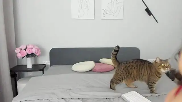 Snapshot of miss_emily_ chatting on April 2026 10:45:01 PM miss emily online show from April 2026 10:45:01 PM